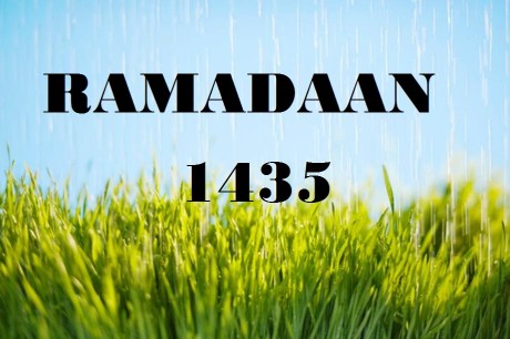 ramdan 1435 grass closeup